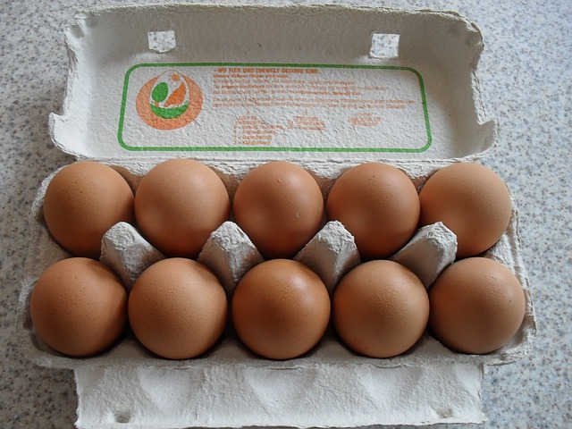 egg-protein