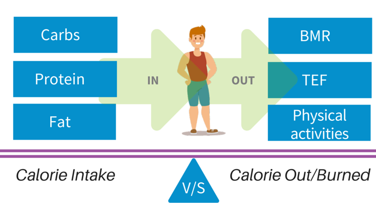 calorie balance