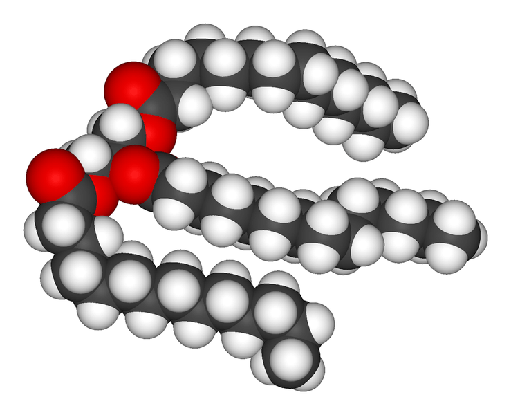 triglycerids