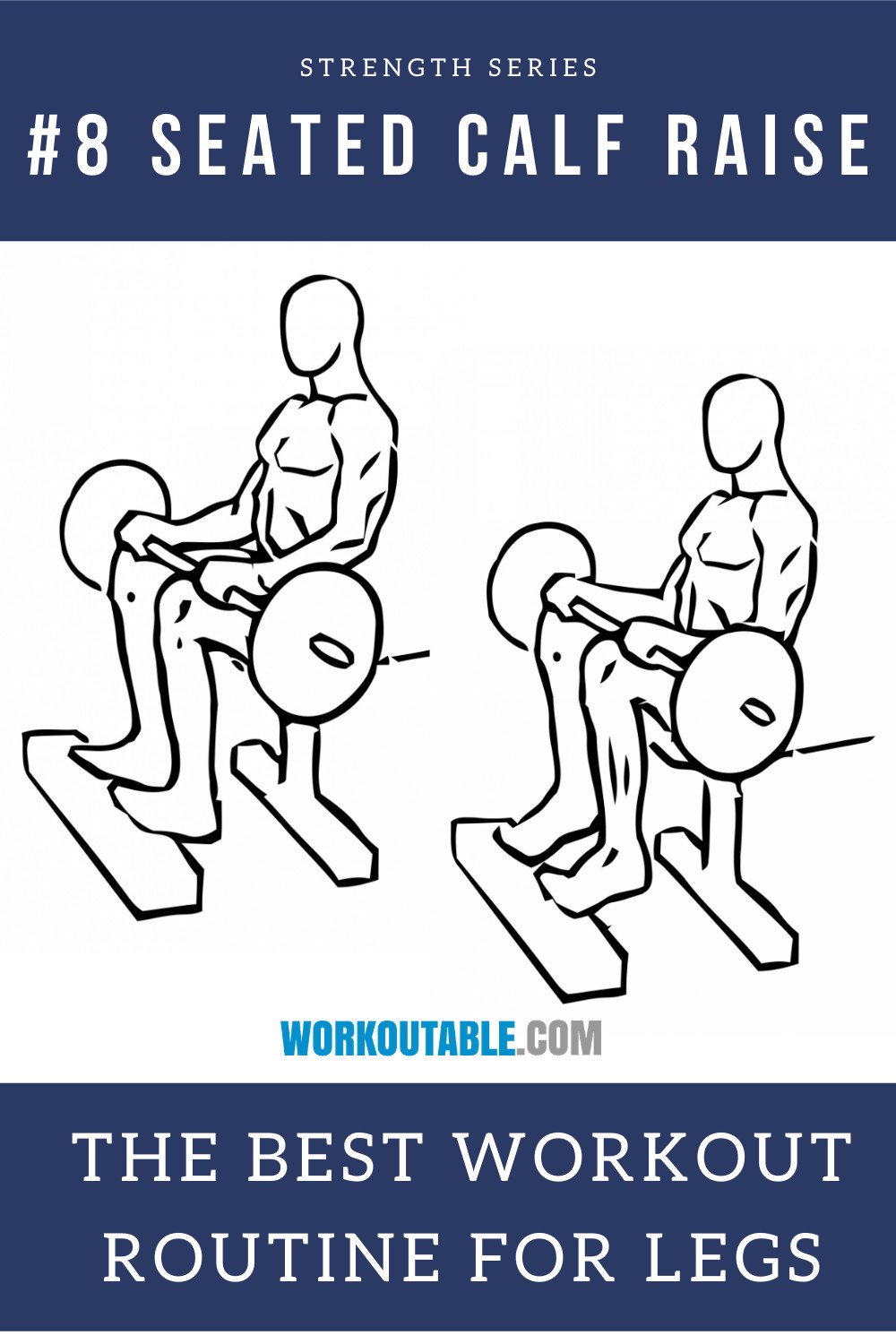 seated calf raise machine -best workout routine for legs