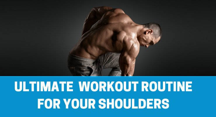 Ultimate Workout Routine For Shoulders – The Best Exercise For Deltoid 