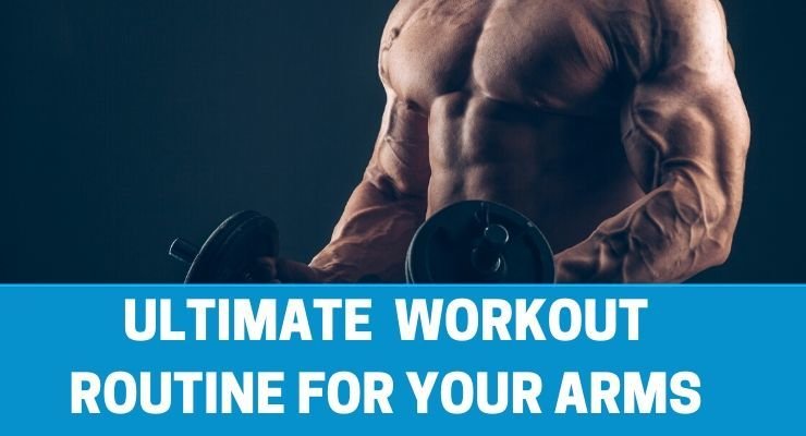 Ultimate Workout Routine For Arms: The Best Exercises For Your Biceps ...