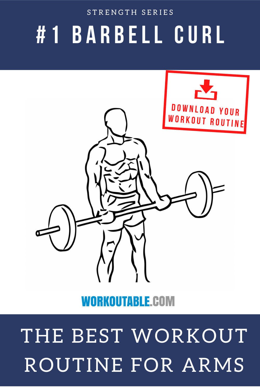 barbell curl the best workout routine for arms