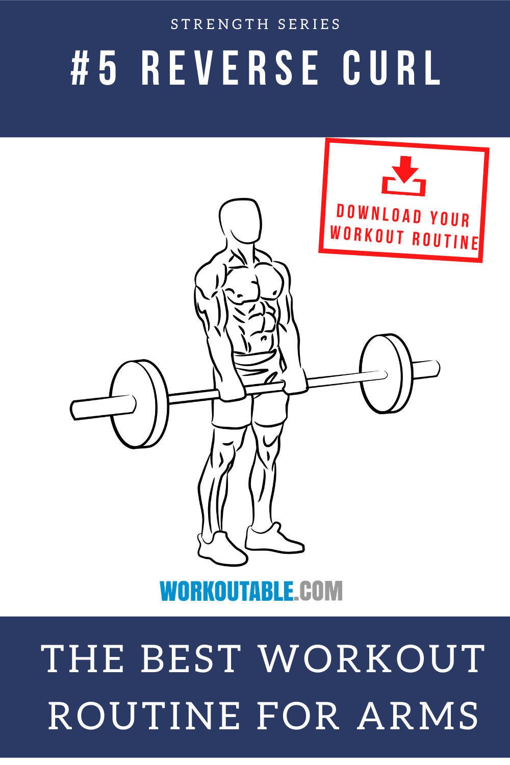 barbell reverse curl the best workout routine for arms