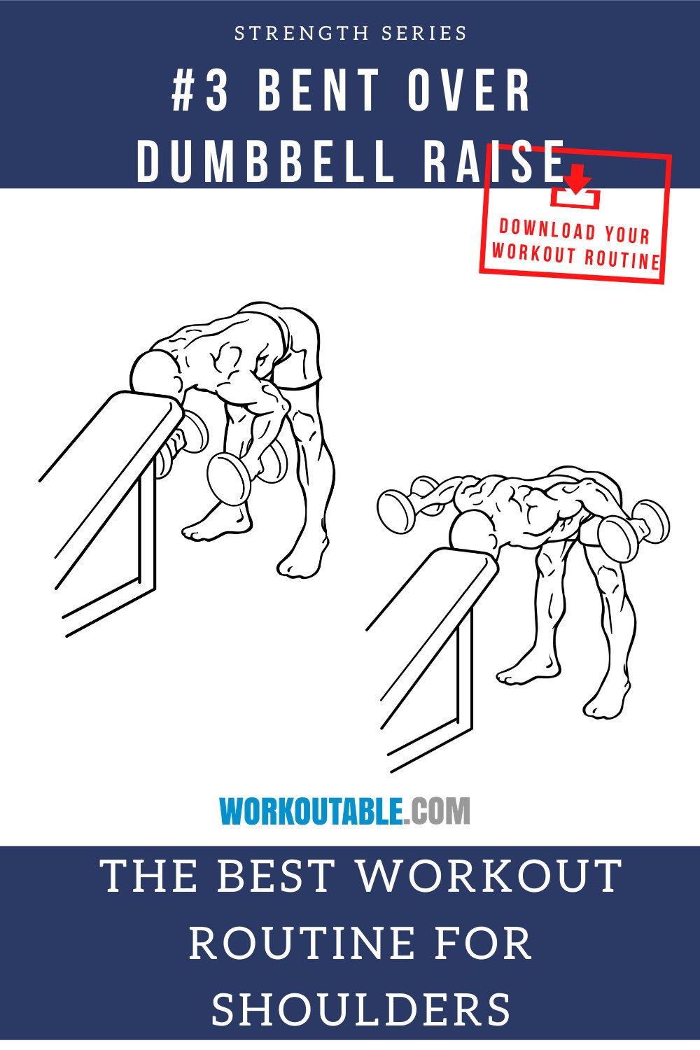 bentover dumbbell raise for shoulders