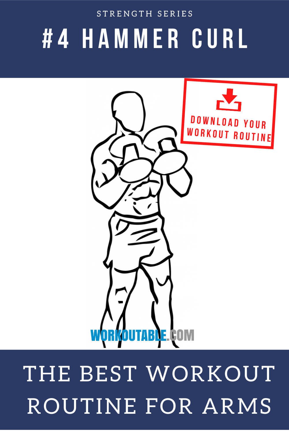 dumbbell hammer curl the best workout routine for arms