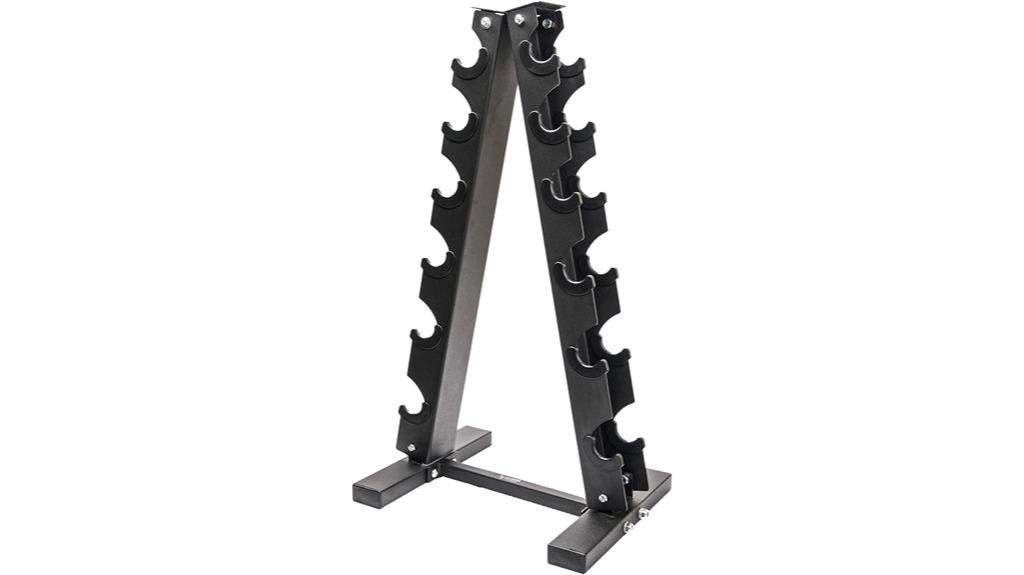 a frame dumbbell storage rack