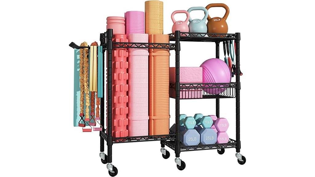 mobile three tier workout organizer