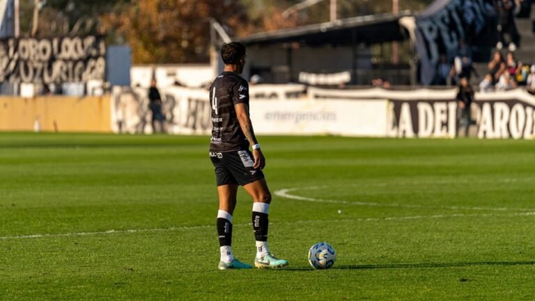 top agility ladders 2025